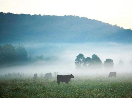 Farm and Lifestyle Centre