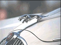 Rodney Jaguar Rover Spares (RJR)